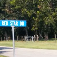 LIVE OAKS MOBILE FAMILY COMMUNITY PARK ico