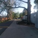 Jacks Trailer Court