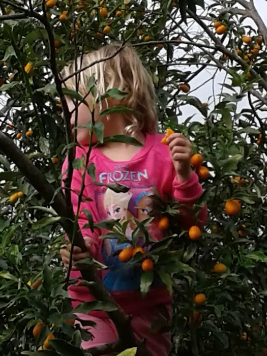 Brewer Circle B Mobile Home Picture 4