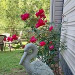 Eastern Shore Mobile Home Village