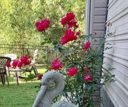 Eastern Shore Mobile Home Village