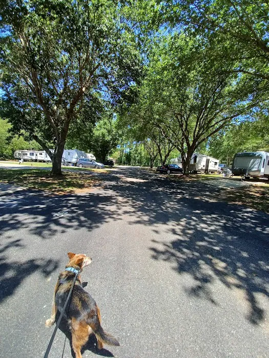 Coastal Haven RV Park Picture 4