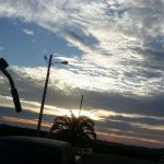 Magnolia Farms RV Park