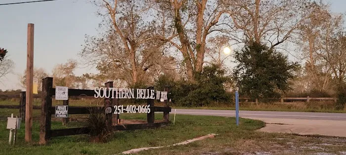 Southern Belle RV Park Picture 2
