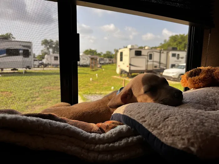 Southern Belle RV Park Picture 4