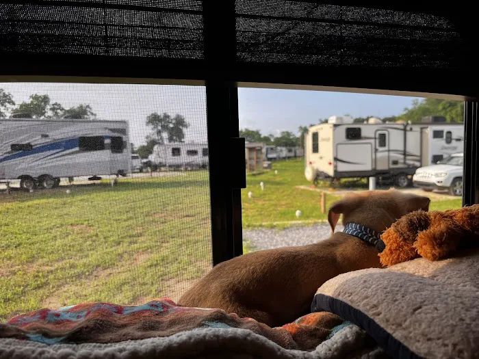 Southern Belle RV Park Picture 6