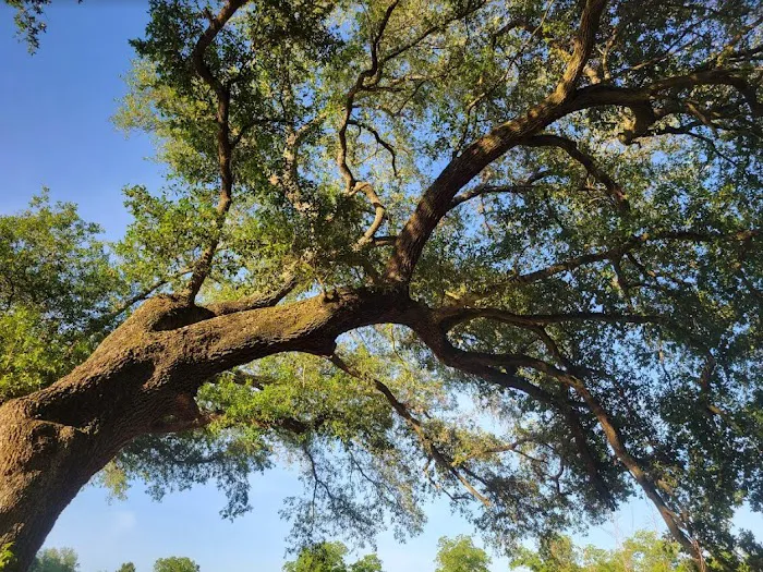 Southern Belle RV Park Picture 9