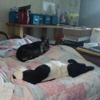 Bates Creek RV Park ico