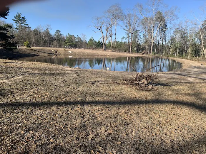 Snow's RV Park Picture 10