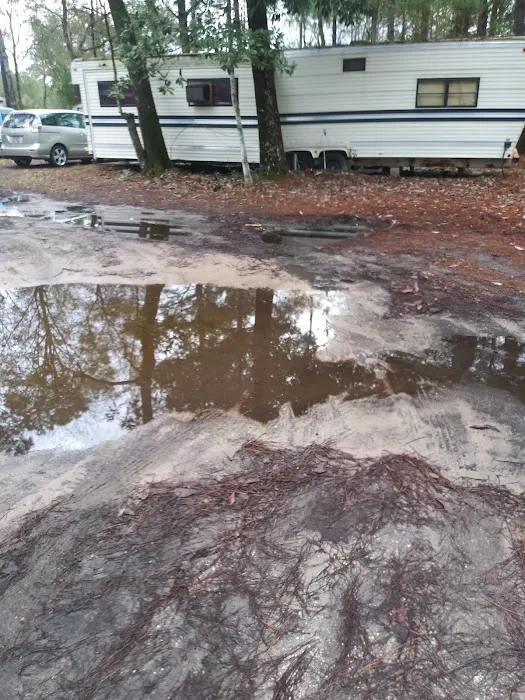 Lazy Lake RV Park Picture 5