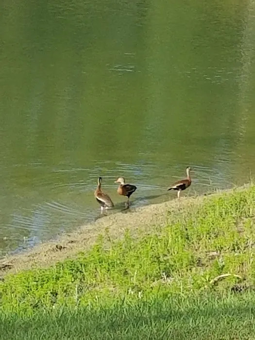 Lazy Lake RV Park Picture 4