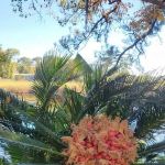 Paradise Citi Campground
