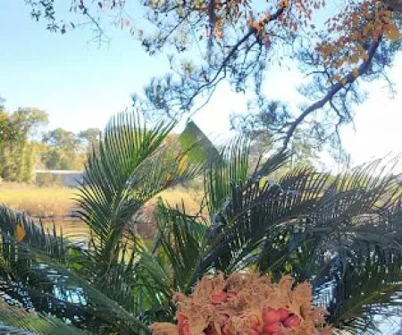 Paradise Citi Campground