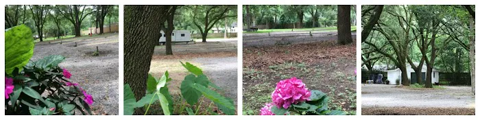 Whispering Oaks RV Park Mobile AL (Tillman's Corner/Theodore) Picture 4