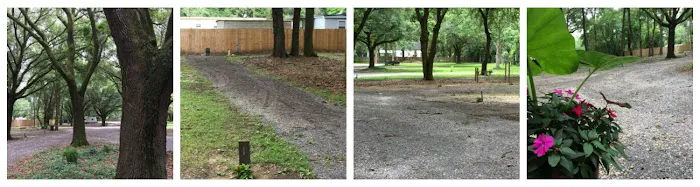 Whispering Oaks RV Park Mobile AL (Tillman's Corner/Theodore) Picture 6