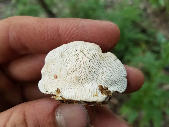 Turveys RV Park & self storage llc Picture 1