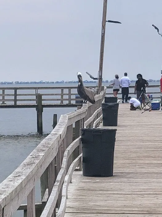 Winners Circle RV Resort, Theodore Alabama Picture 8