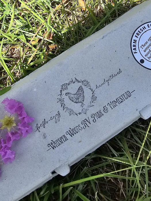 Whisper Woods RV Park Picture 10