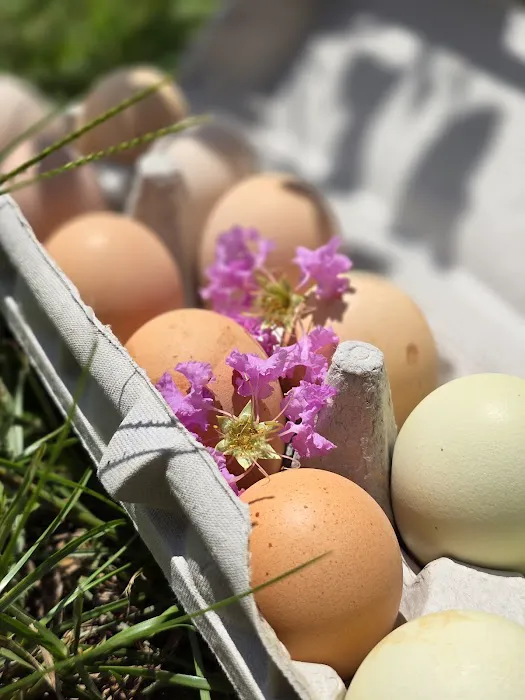 Whisper Woods RV Park Picture 9