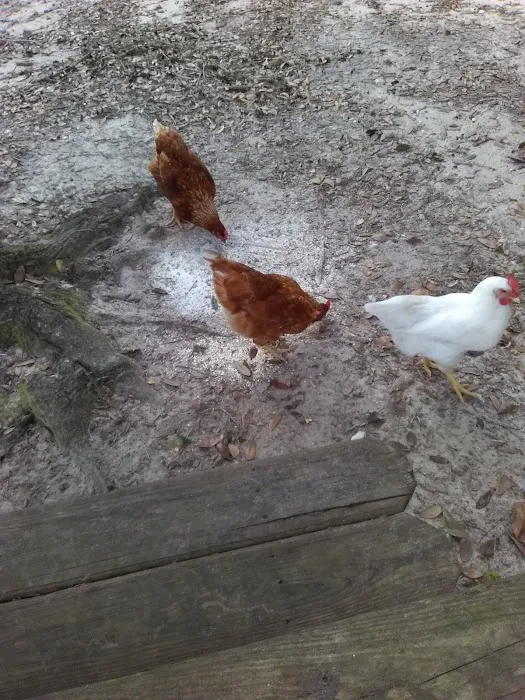 Stop & Rest RV Park Picture 4