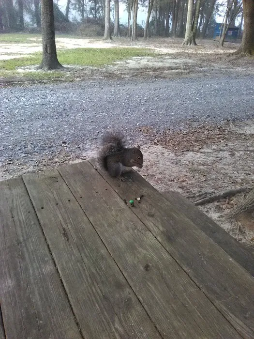 Stop & Rest RV Park Picture 1