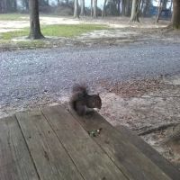 Stop & Rest RV Park ico