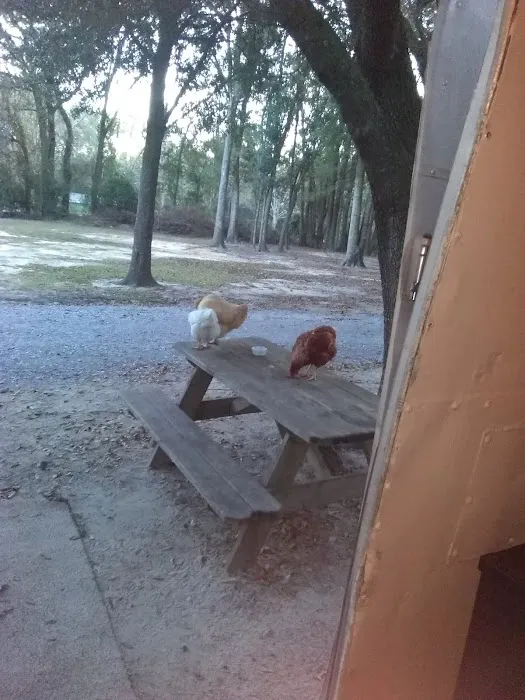 Stop & Rest RV Park Picture 2