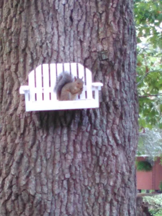 Stop & Rest RV Park Picture 10