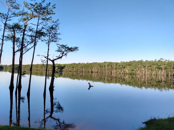 Presley's Outing Picture 8