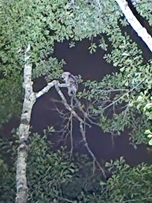 Riverside RV Park Picture 2