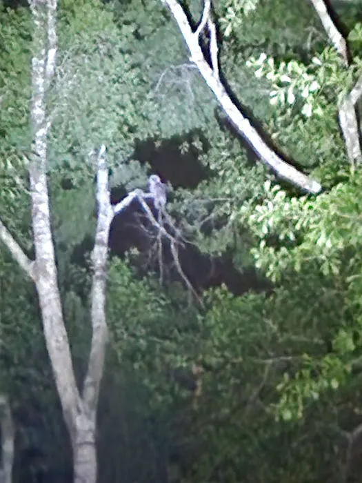 Riverside RV Park Picture 4