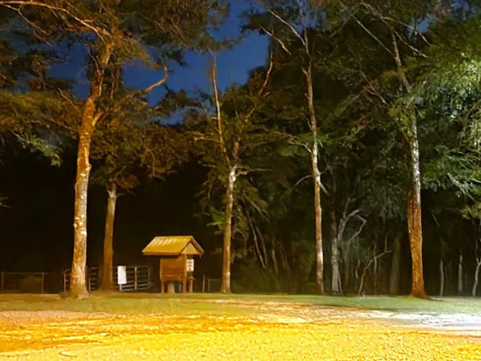 Riverside RV Park Picture 6