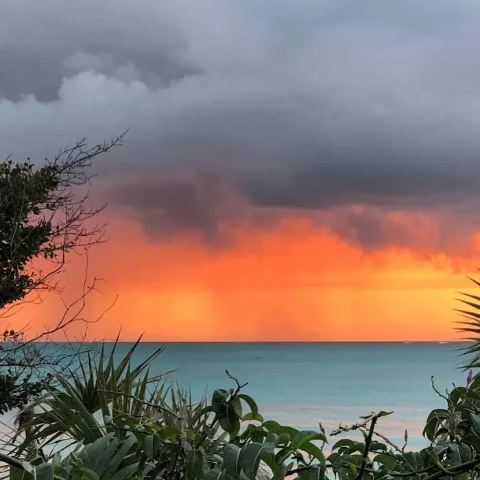 Dockside RV Resort & Alabama Gulf Coast Campground Picture 7