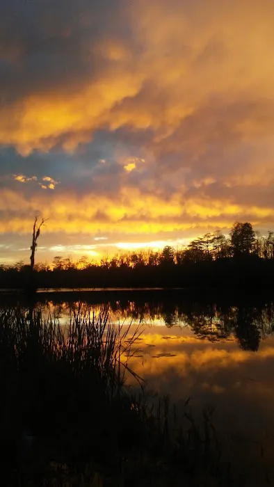 Little River RV Campground Picture 4