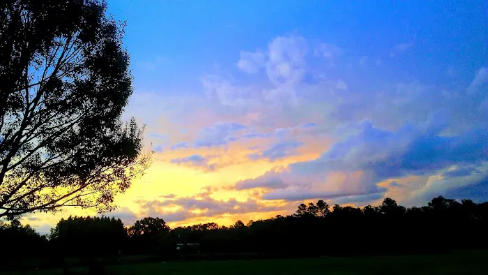 Little River RV Campground Picture 2