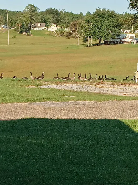 Santa Maria RV Park Picture 1