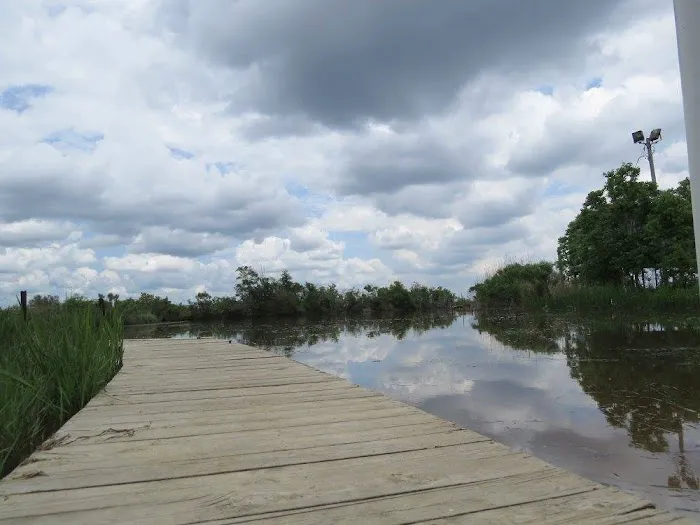 Santa Maria RV Park Picture 3