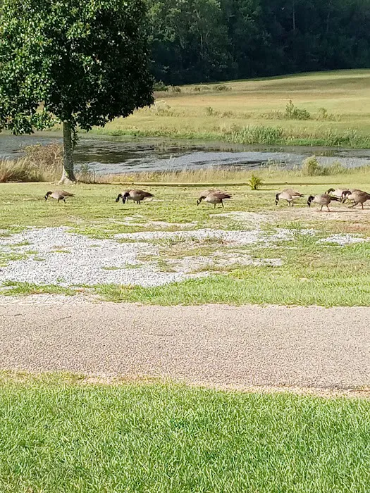 Santa Maria RV Park Picture 10