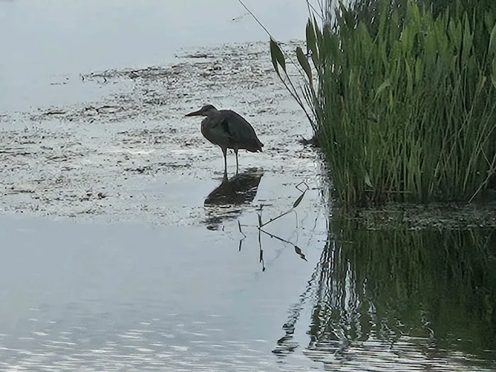 Sioux Bayou RV park Picture 6