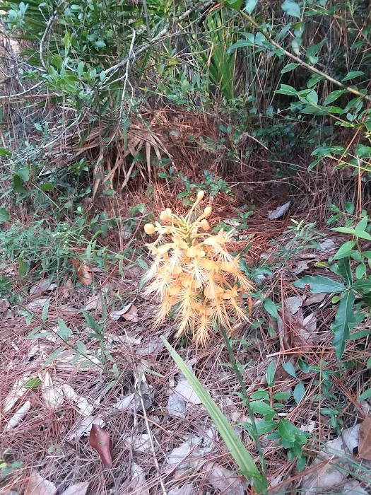 Coast Meadows Mobile Estate Picture 4