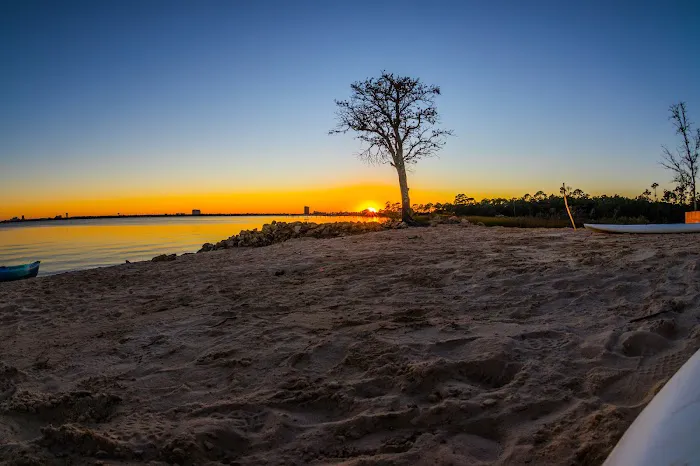 Biloxi Bay RV Resort & Marina Picture 6