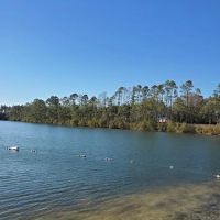 Martin Lake Resort Inc ico