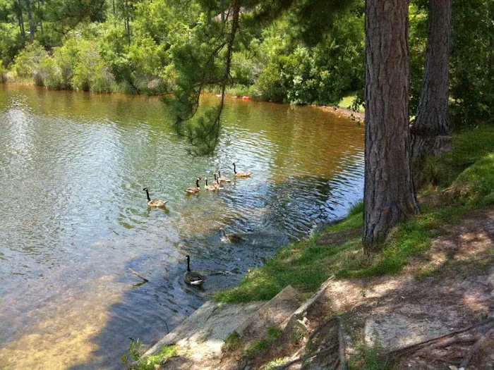 Martin Lake Resort Inc Picture 9