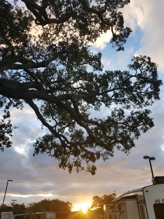 Boomtown Biloxi RV Park Picture 9