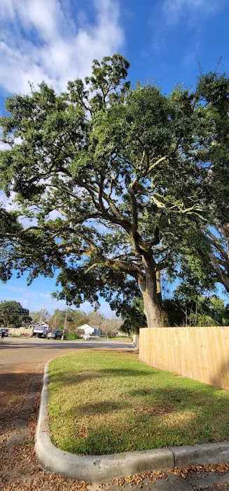 Boomtown Biloxi RV Park Picture 2