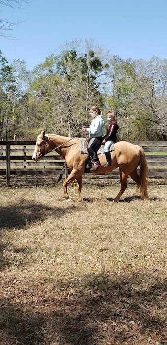 Green Woods Stables RV Park Picture 6