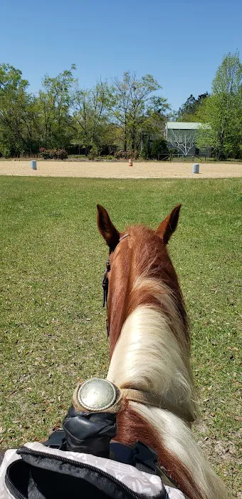 Green Woods Stables RV Park Picture 5