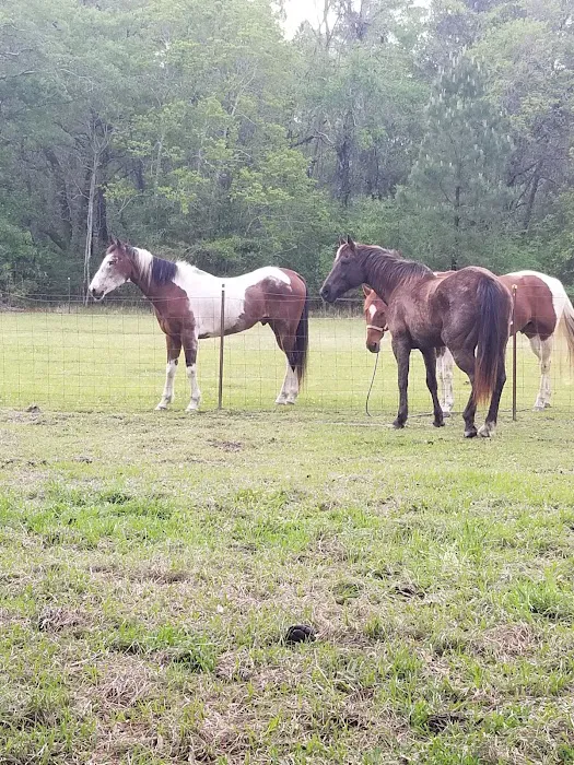 Green Woods Stables RV Park Picture 10