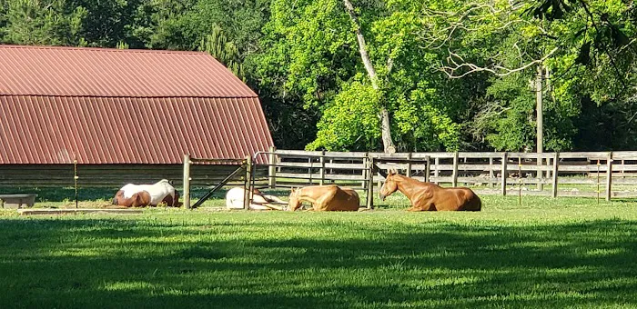 Green Woods Stables RV Park Picture 4