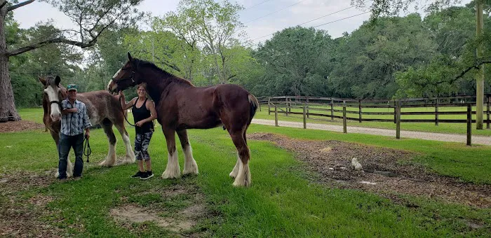 Green Woods Stables RV Park Picture 7